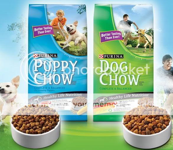 B1G1F Pro Plan wet cat food