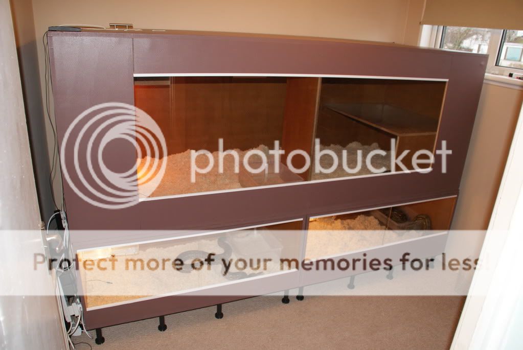 Large Snake Enclosures Reptile Forums