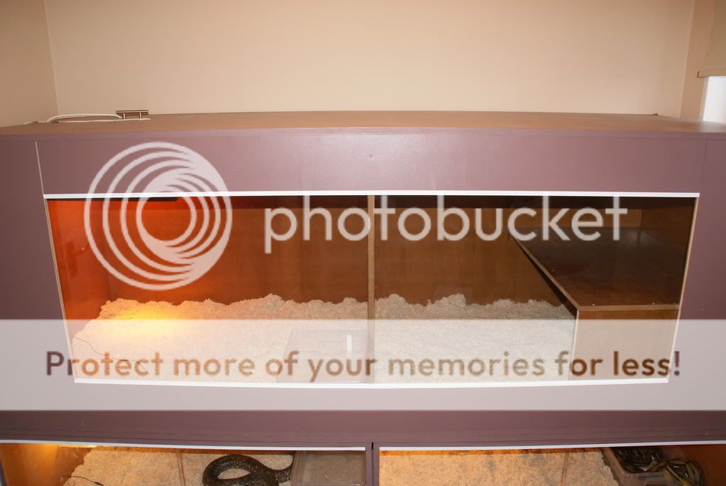 Large Snake Enclosures Reptile Forums