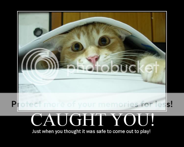 Forum Image: http://i447.photobucket.com/albums/qq194/spalose2/forums/3.jpg