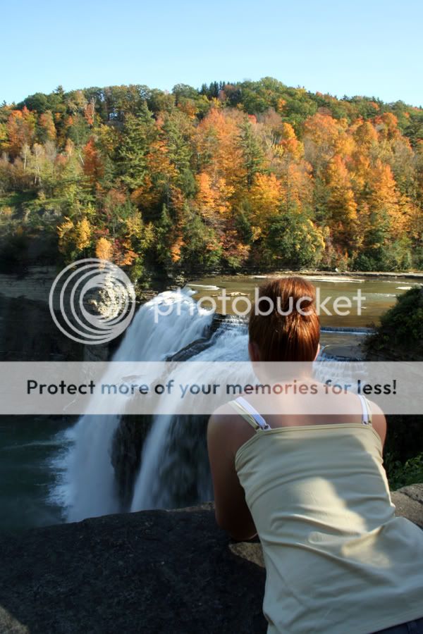 IMAGE: http://i447.photobucket.com/albums/qq196/rit6uido/IMG_4636_sized.jpg