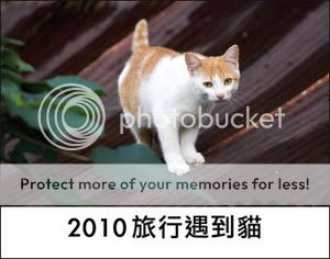 2010旅行遇到貓 街貓月曆義賣