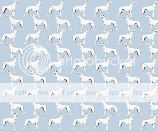 doberman wallpaper. DOBERMAN vs GREYHOUND