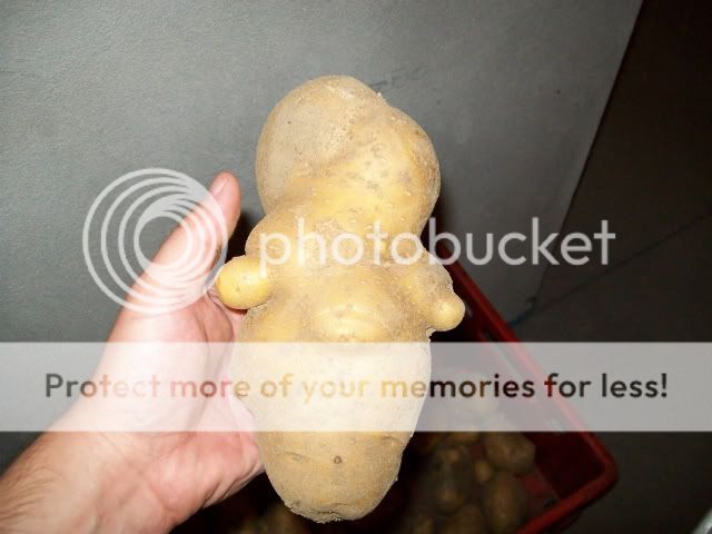 100_0109.jpg