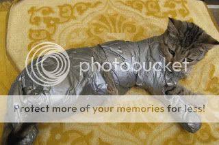 re: Children and Puppies!