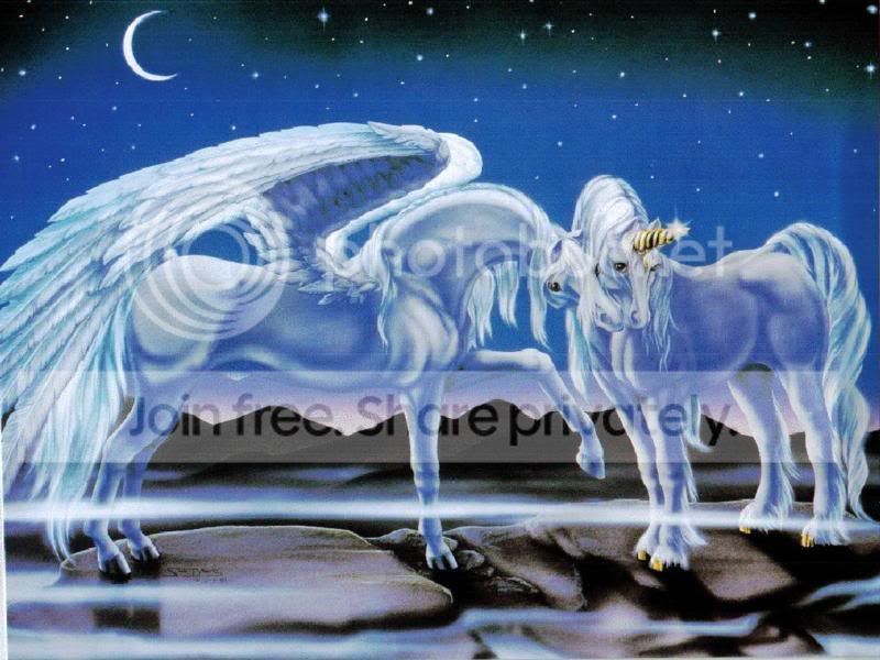 UNICORN.jpg